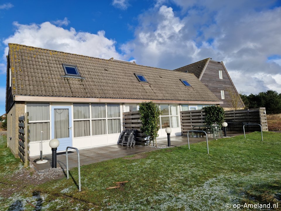 Vleijenhof 6, Take your dog to a seaside cottage