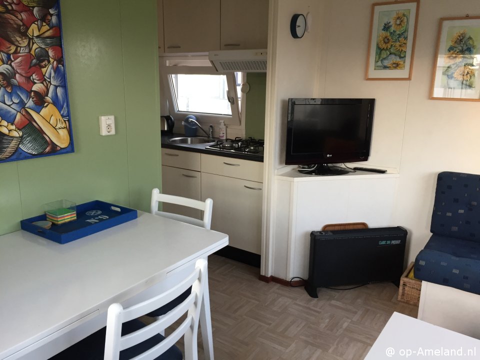  Duinoord 216 Aalscholver