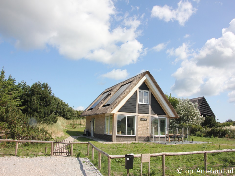 Buitenaanzicht Duinvilla Drenthe