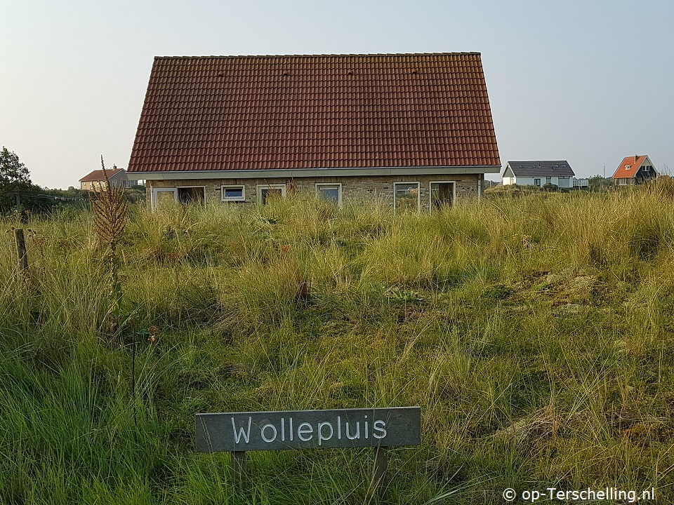 buitenaanzicht Wollepluis