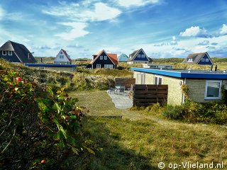 Albatros, on holiday on Vlieland