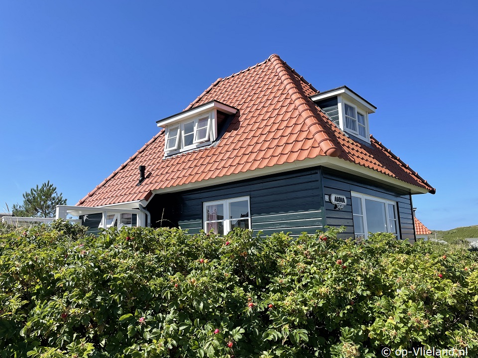 Anna, on holiday on Vlieland