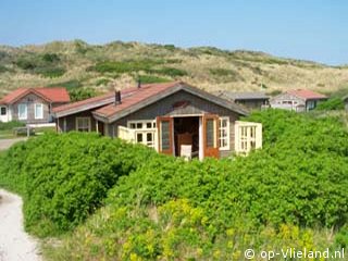 Bim, on holiday on Vlieland