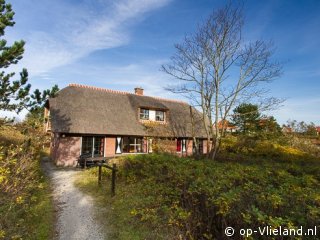 Duinpieper, on holiday on Vlieland