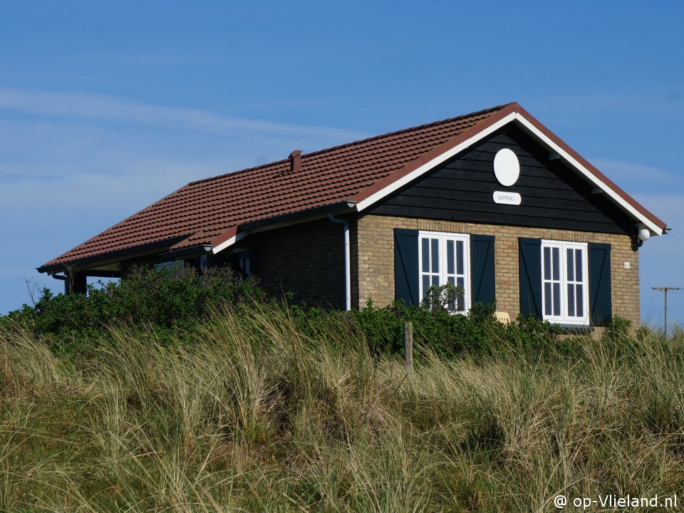 Duinroos, on holiday on Vlieland