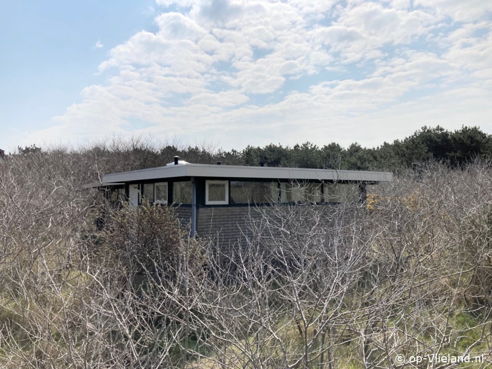 Hoogaars, on holiday on Vlieland