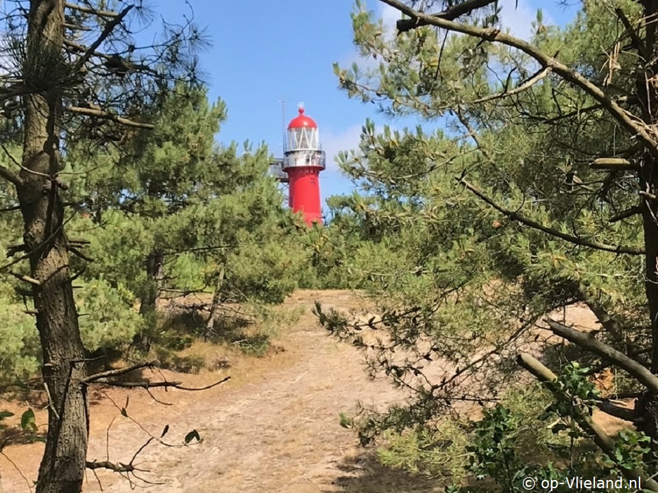 Noorderzon